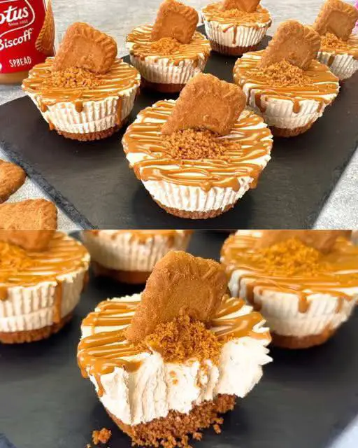 LOTUS BISCOFF MINI CHEESECAKE – EENVOUDIG EN ONWEERSTAANBAAR NO-BAKE DESSERT