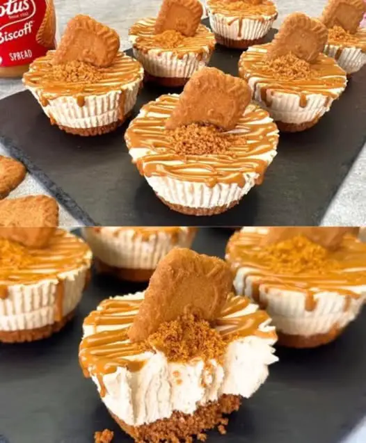 Lotus Biscoff Mini Cheesecake: een eenvoudig en onweerstaanbaar lekker no-bake dessert